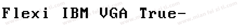 Flexi IBM VGA True字体转换